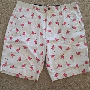 Flex Plugg Flamingo Mens Chino Shorts Size 36 EUC
